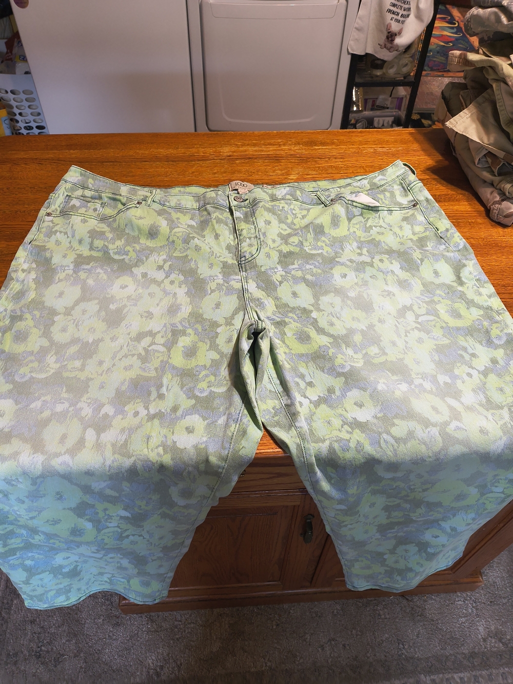Women’s  logo by lorie goldstein Green Floral Print Jeans size 4x or size 32